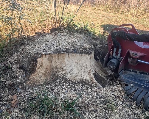 The Stump Masters Stump Grinding Knoxville TN