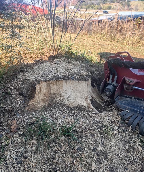 The Stump Masters Stump Grinding Knoxville TN