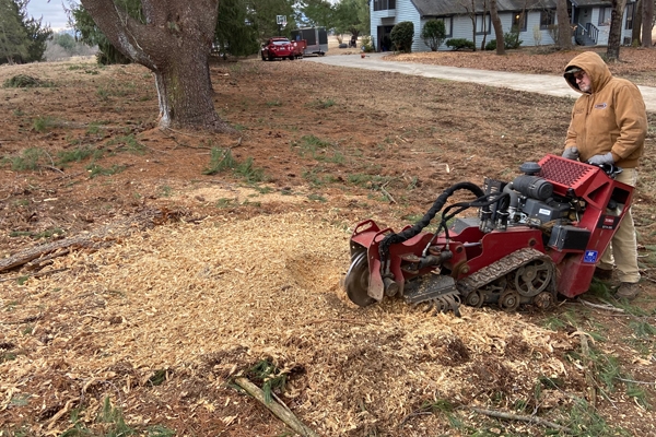 Stump Grinding Near Me