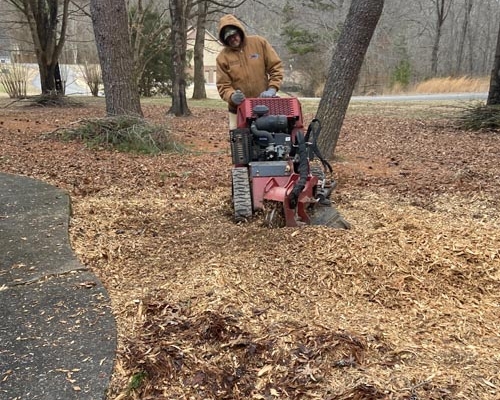 Stump Grinding Contractor East Tennessee