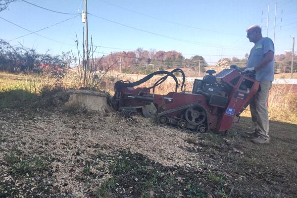 The Stump Masters Stump Grinding Knoxville TN